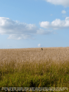 laurastoryjohnson.com