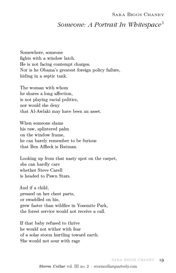 Sara Biggs Chaney - Someone- a Portrait in Whitespace [sample]