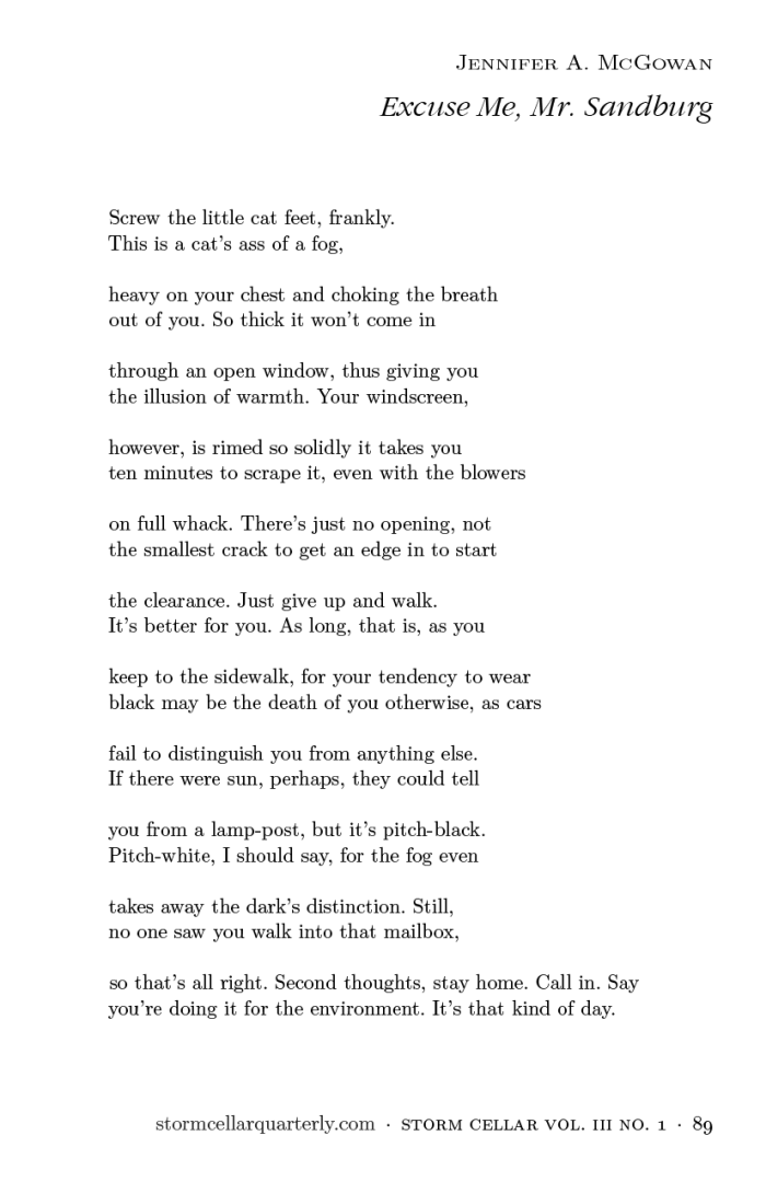 Jennifer A. McGowan - Excuse Me, Mr. Sandburg [sample]1