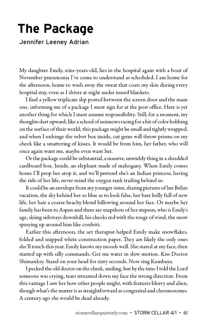 Jennifer Leeney Adrian - The Package[sample]