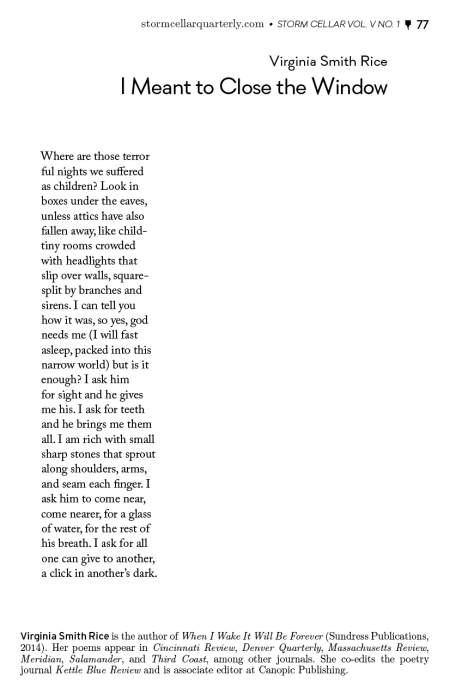 virginia-smith-rice-i-meant-to-close-the-windowsample