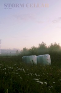 Cover of Storm Cellar volume 10 number 2, featuring the photograph titled Growth (2020) by Maria Svartvadet Jakobsen.